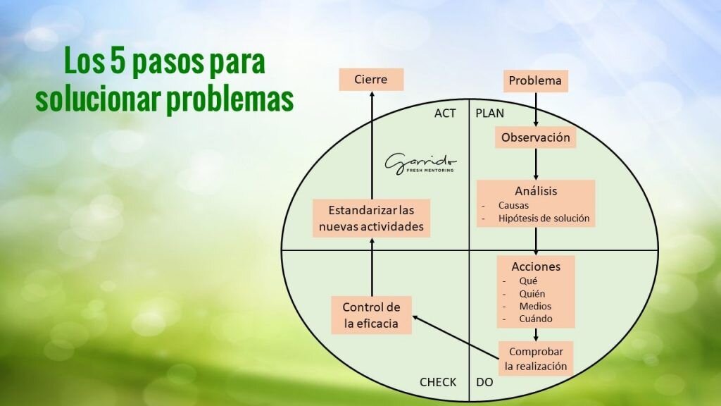Desenredando el lío: Problemas comunes y su solución paso a paso