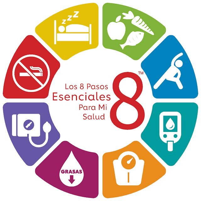 Desmenuzando los pasos esenciales para llenar tus trámites