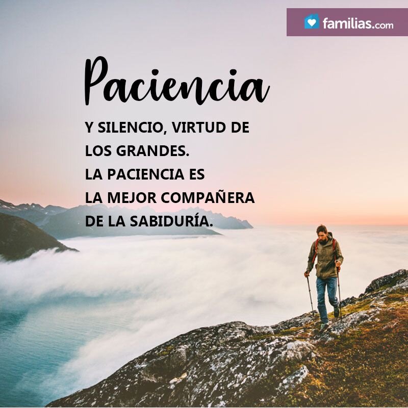 Mi odisea con la renovación de placa: Una lección de paciencia y astucia