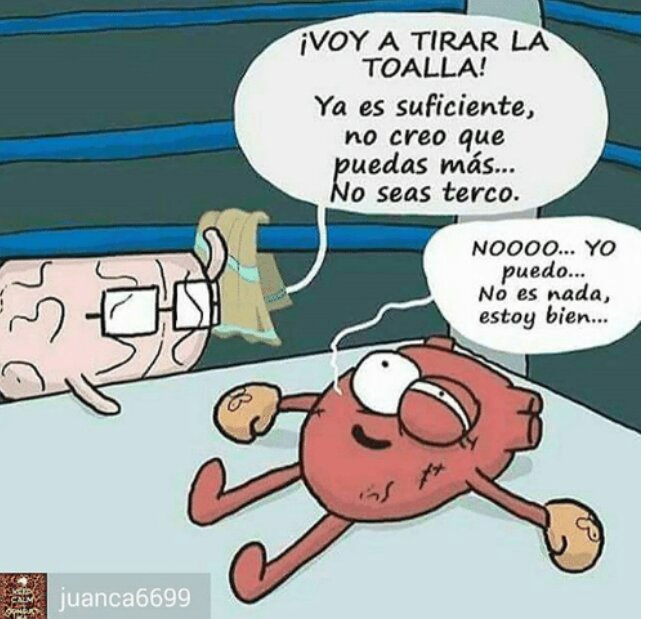Mi odisea con los formularios: Una historia que casi me hace tirar la toalla