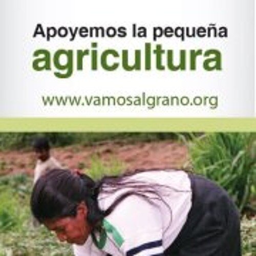 Vamos al grano: Desenredando formularios sin perder la sonrisa